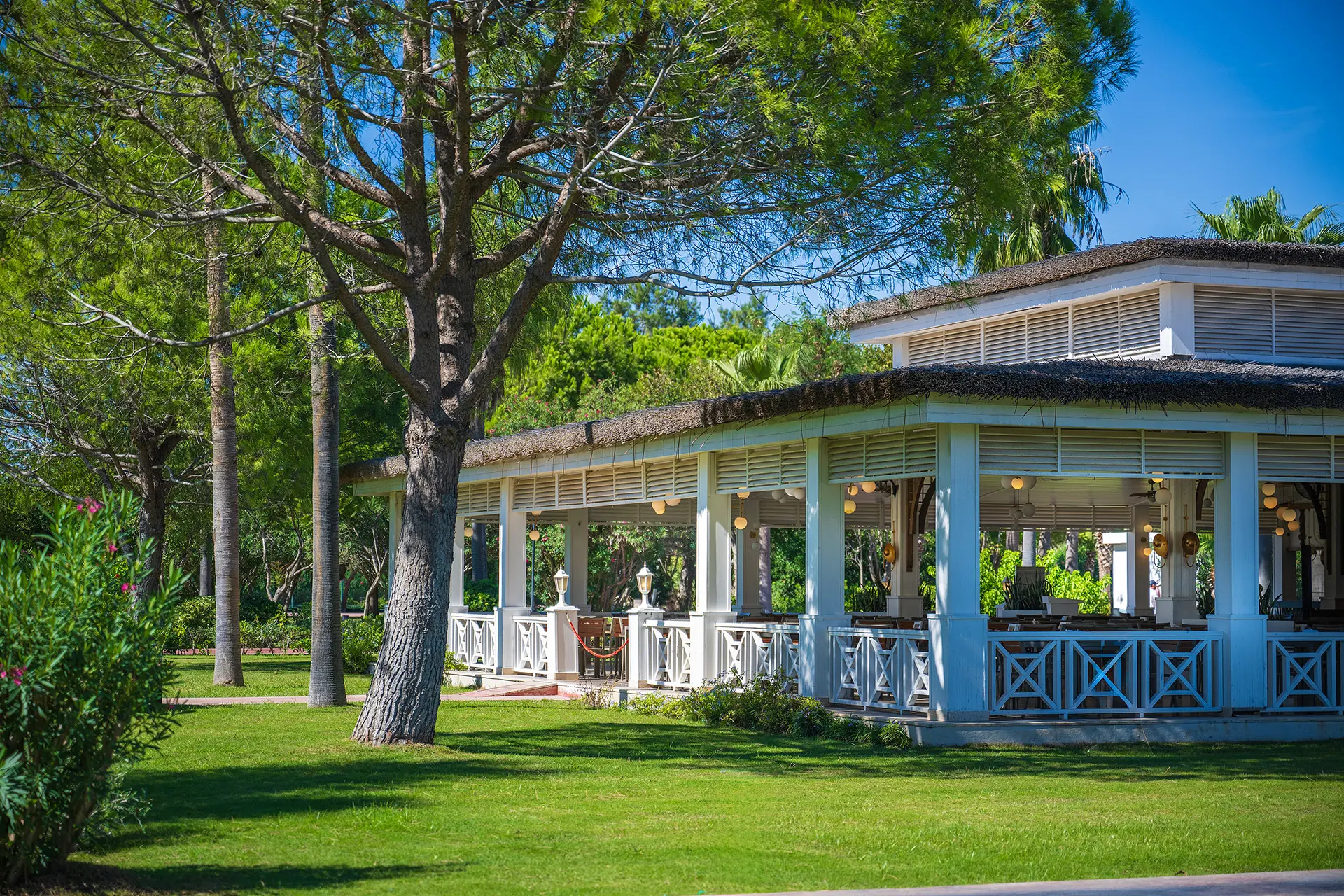 Meze Türk A'la Carte